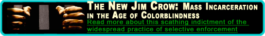The New Jim Crow: Incarceration in the Age of Colorblindness
