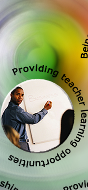 Providing teacher learning opportunities