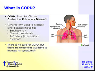 Image of copd-overview